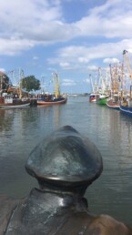Neuharlingersiel Hafen